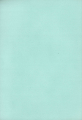 The views of the Appleton Laboratory staff on the Report of the SRC Working Party that considered the future of the Appleton and Rutherford Laboratories (30 September 1978)