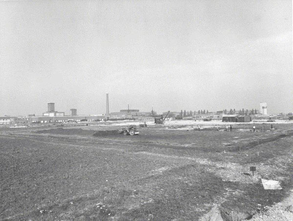 Clearing the ground